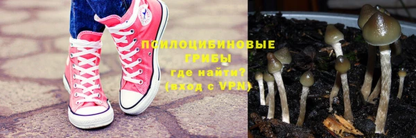 альфа пвп Пролетарск