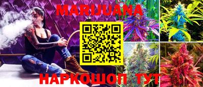 индика Волжский