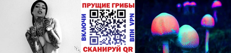 Галлюциногенные грибы Cubensis продажа наркотиков Владикавказ